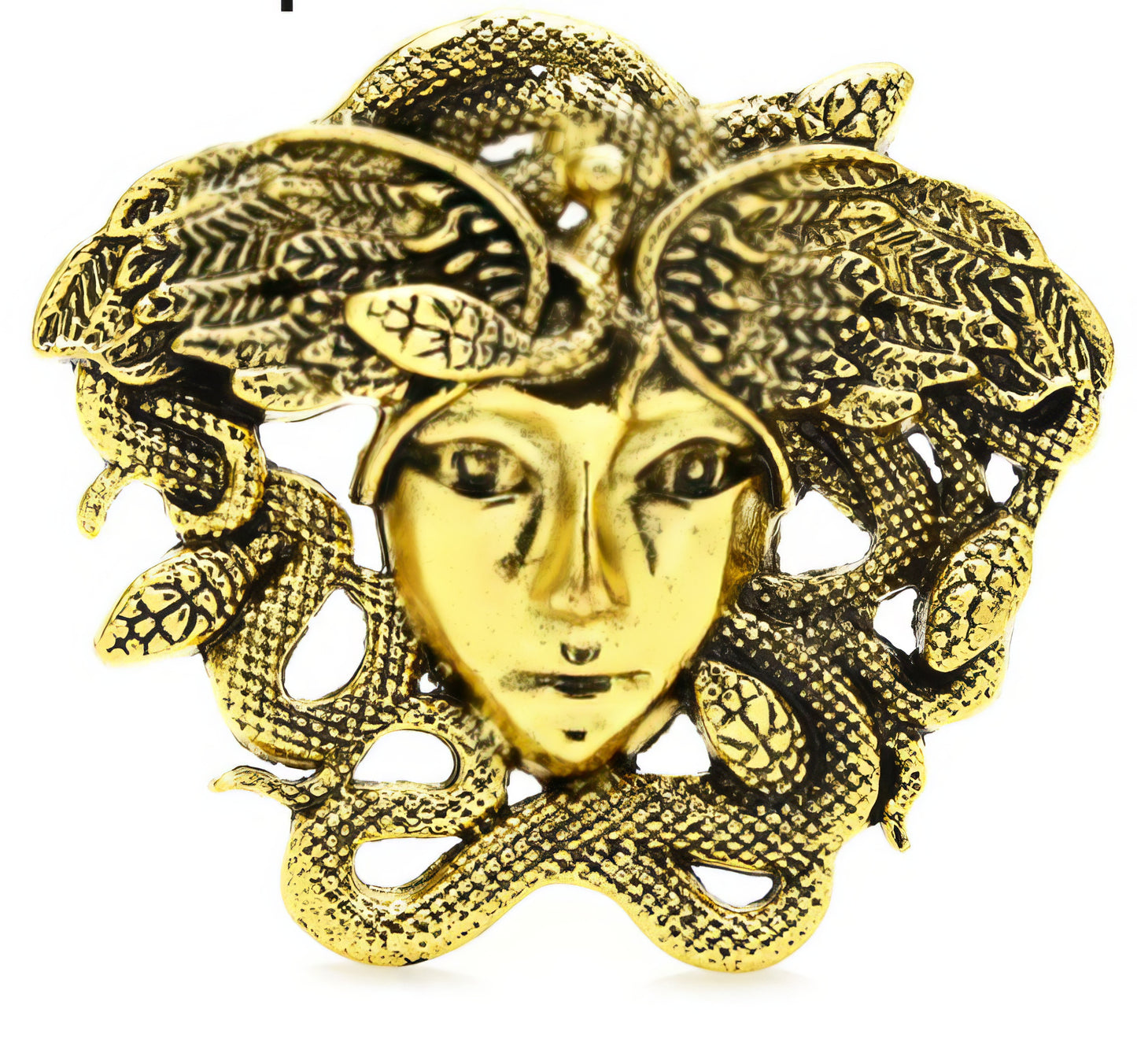 Medusa Hed Brooch Pin in Gold